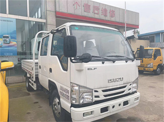 isuzu double row cargo truck