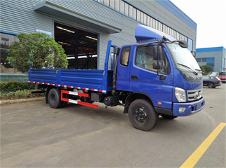 small foton cargo truck